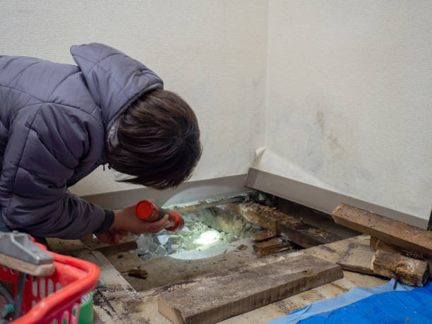 Best Industrial Mold Remediation  in Gloster, MS