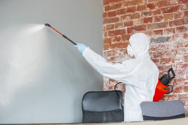 Best Mold Remediation for Healthcare Facilities  in Gloster, MS