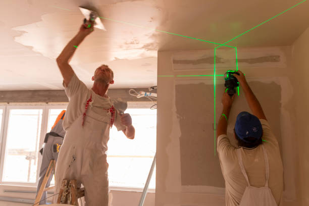 Professional Mold Removal in Gloster, MS